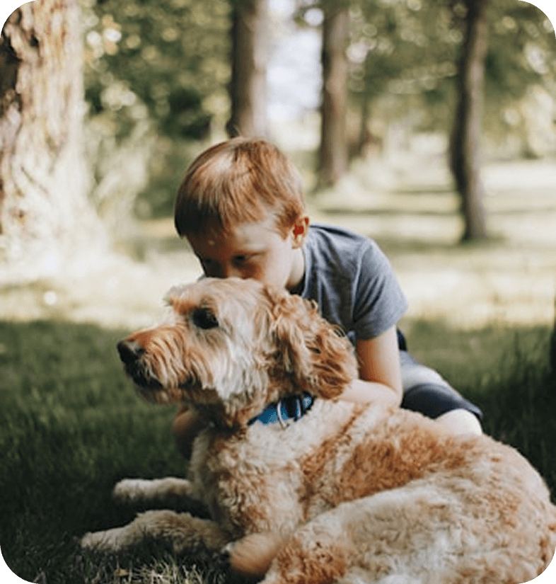 Boy with golden retriever