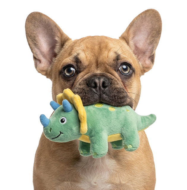 French bulldog puppy holding a green dinosaur toy