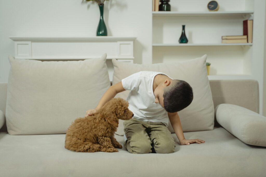 How Should I Pick Up A Puppy?