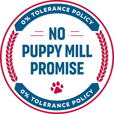 no puppy mill promise badge