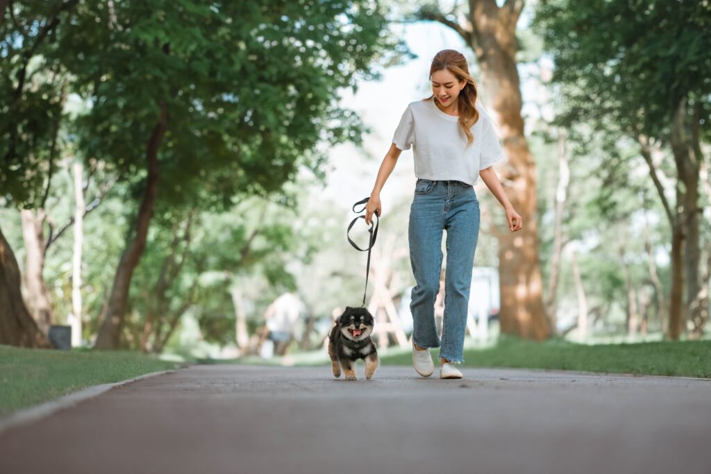 What Places Aren’t Suitable For Taking A Young Puppy?