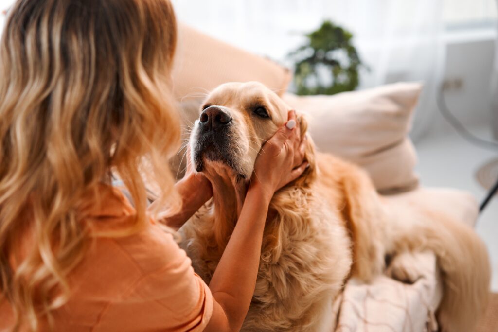 What Should You Observe When Meeting A Puppy?