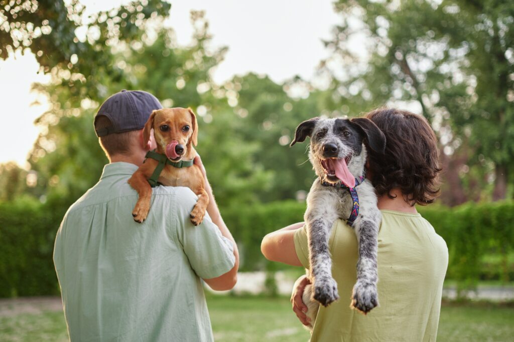 At What Age Do Puppies Start Bonding With Their Owners?