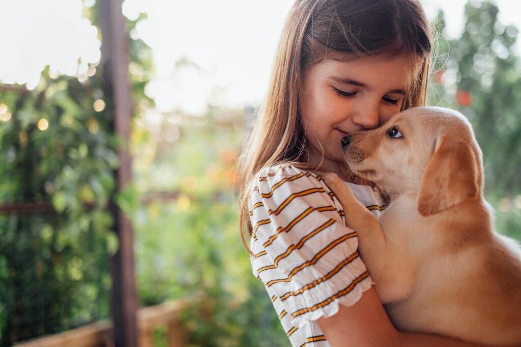 Is 8 Weeks Or 12 Weeks The Better Time To Bring A Puppy Home?