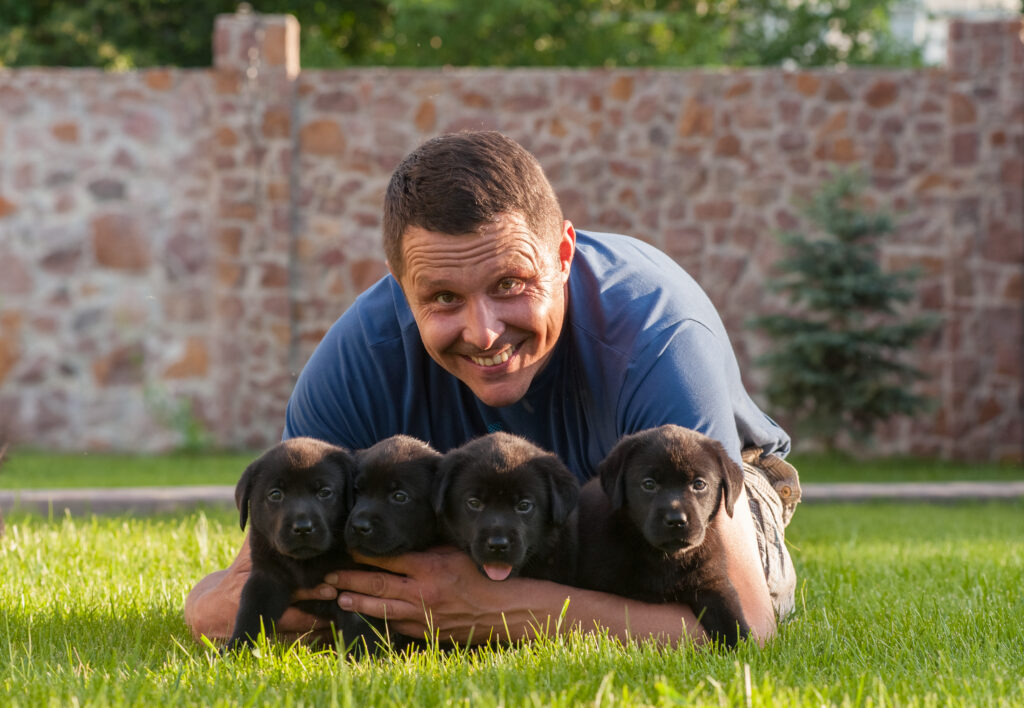 How Can You Tell If A Puppy Is From A Good Breeder?