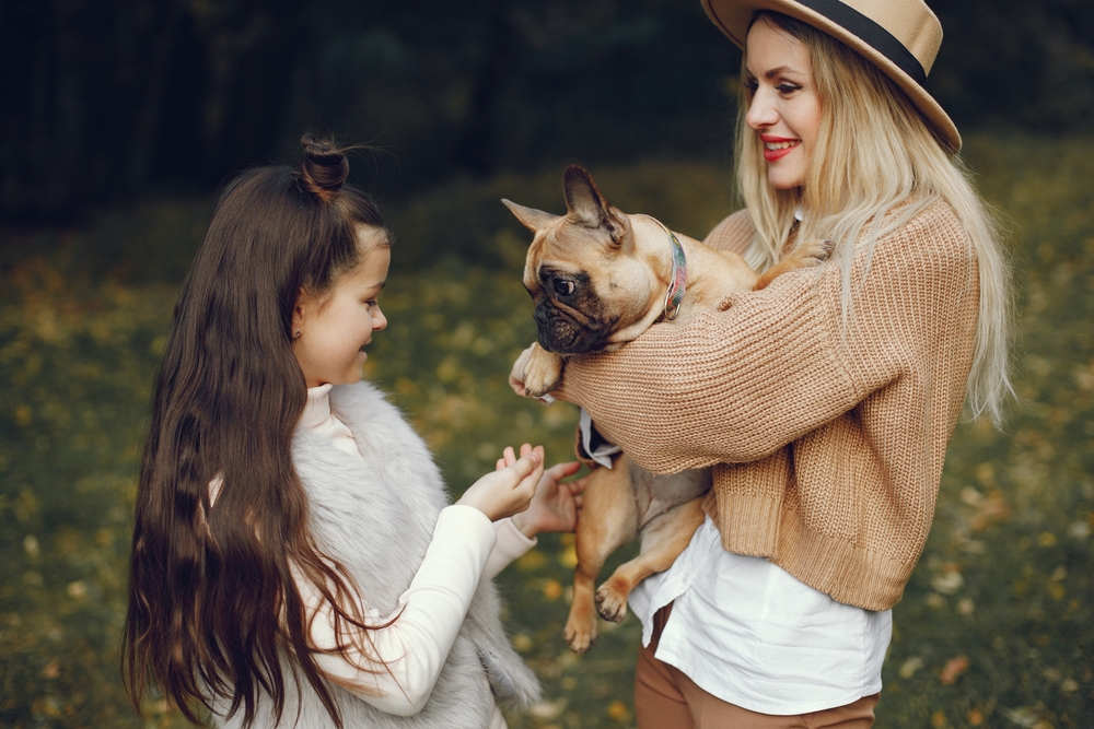 What Is The Downside Of French Bulldogs