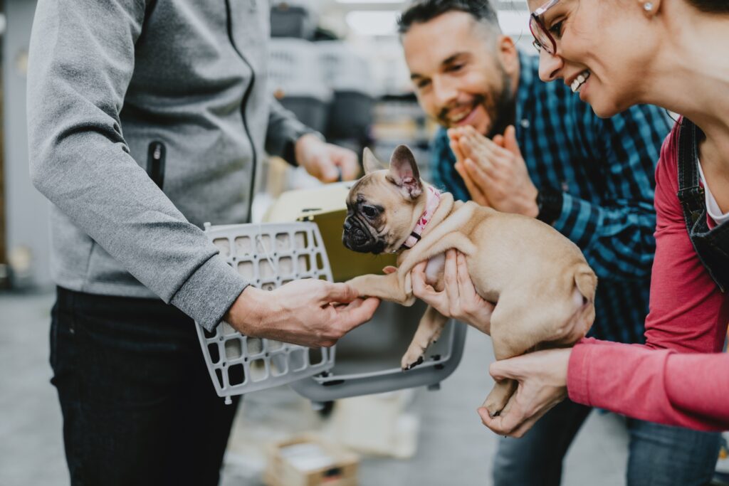How Can You Verify If A Breeder Is Legitimate?