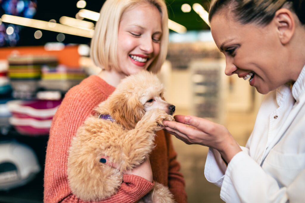 Is It Safe To Buy A Puppy From A Private Seller?