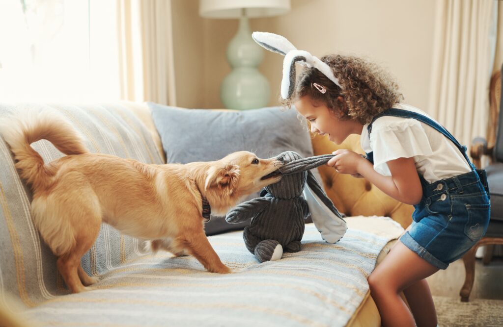How Do You Assess A Puppy’s Temperament?